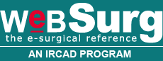 WeBSurg, World Electronic Book of Surgery