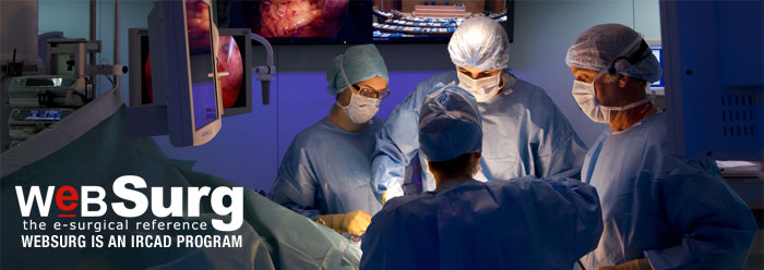 Banner WeBSurg