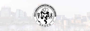 conf-baltimore-sages